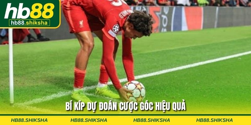 Bí kíp dự đoán cược góc hiệu quả