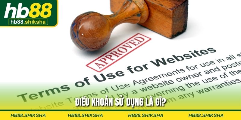 Điều khoản sử dụng là gì?